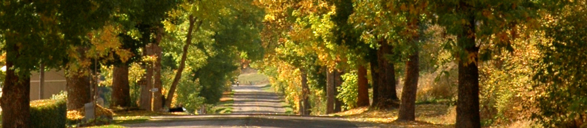 An autumn picture of a street in Armstrong