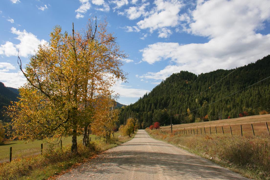 A fall day on a rural road in electoral area d