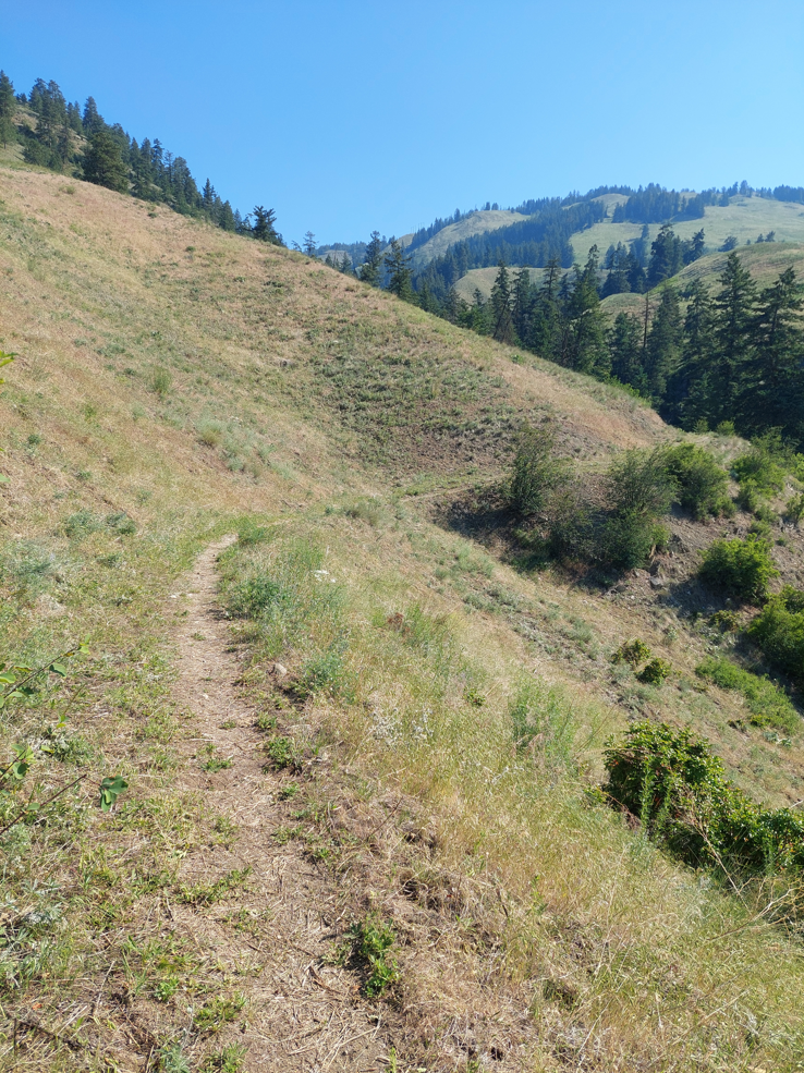 trail section to be incorporated with proposed trail network