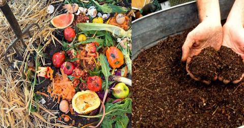 Kitchen scraps in garden and hands picking up soil