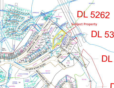Subject Property Map - 150 Silver Lode Lane